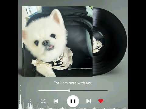 #노래커버 #pets #강아지 #cutedog #leche #Youarenotalone #michaeljacksoncover