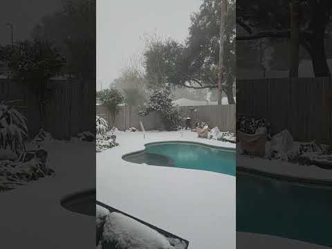 Snow a light dusting of snow and sleet in the Houston Tx area #snow #whitechristmas