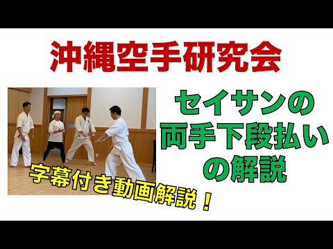 セイサンの両手の下段払いの解説【沖縄空手研究会】