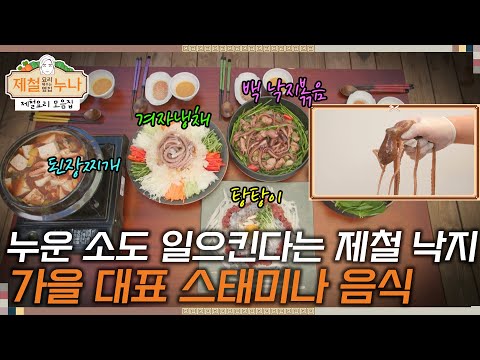 [제철 요리 모음집_시즌1] 누운 소도 일으킨다는 제철 무안 낙지, 가을 대표 스태미나 음식 | 제철누나