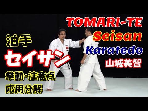 tomari-te seisan okinawa karatedo yoshitomo yamashiro 泊手セイサン 沖縄拳法 山城美智