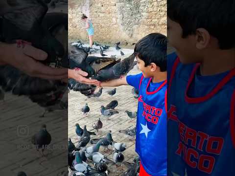 Our little bird lover #anything to hold #birds #birdlover #traveldiaries