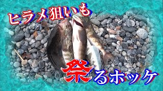 【VLOG】北海道/道南(日本海)：ヒラメを狙いながら投げ釣り！＜後半戦：二越川河口サーフ＞