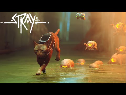 謎の生物から猫になって逃げろ！【Stray】#7