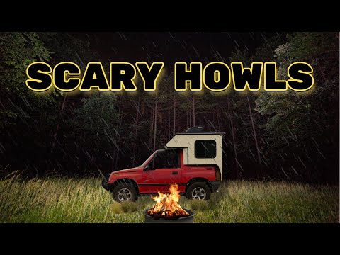 Disturbing Howls Caught On Camera While SOLO Camping + POOP RANT