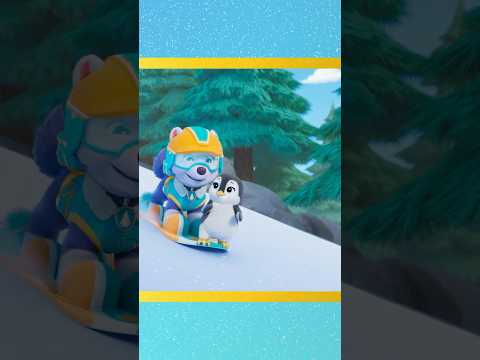 everest's snowboarding penguin rescue #shorts