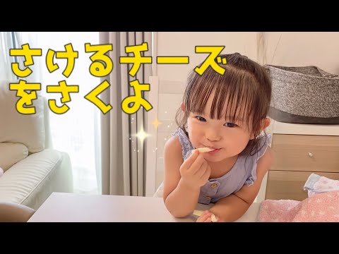 ひたすらさけるチーズをさくよ（2歳）