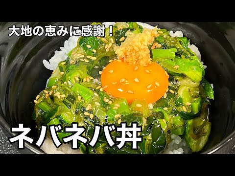 初対面の野菜たちに大興奮！ネバネバ丼