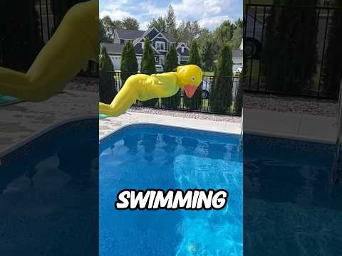 RUBBER DUCKY DIVES into a Swimming Pool Fail #shorts