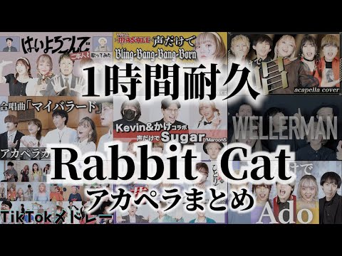 【1時間耐久】Rabbit Cat怒涛のアカペラまとめ！！(はいよろこんで、唱、Bling-Bang-Bang-Born他) #ハモりたがーる #合唱バトル #ミリオン再生合唱団#フジテレビ