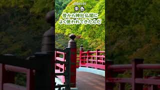 朱色（神社 鳥居 朱肉 日本の伝統色）【ずんだもん解説 色の雑学057】#Shorts #雑学  #ずんだもん