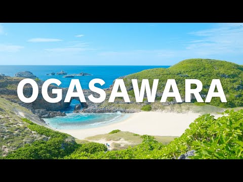 A Beautiful Japanese Island 24 Hours by Ship from Tokyo -The Ogasawara Islands