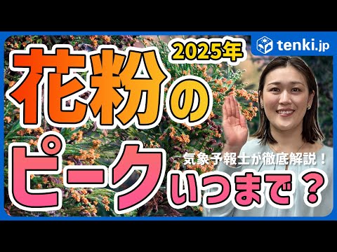 【花粉】2025年の飛散ピークはいつまで？　花粉症対策についても解説