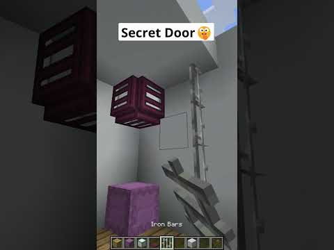 Minecraft Secret Door🤫 #shorts