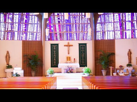 Catholic Harmony 1 | Blessings and Grace in Simple Organ Hymns