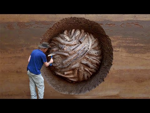 Satisfying Videos Of Workers Doing Their Job Perfectly