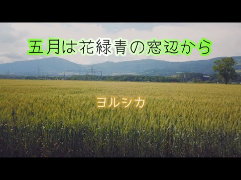 五月は花緑青の窓辺から　ヨルシカ（歌詞付き）