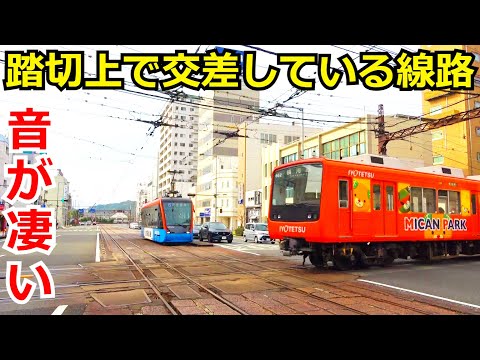 【日本で唯一】電車が踏切待ちをする場所を観察しました。