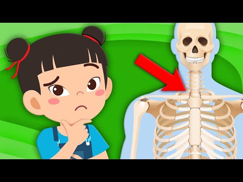 Learn ALL About Spare Ribs! | Human Body Songs For Kids | KLT Anatomy