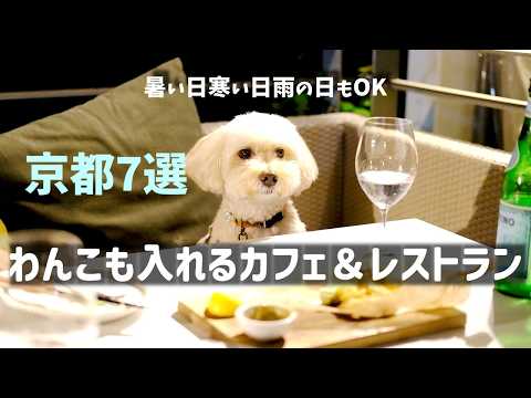 Kyoto 7 Selection/Cafes & Restaurants you can go with your dog/No Problem on rainy day/Sightseeing