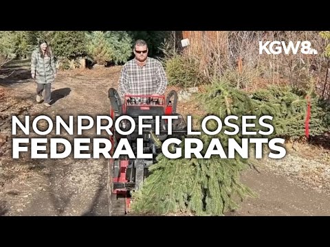 Federal funding cut for Oregon nonprofit that replants trees after wildfires