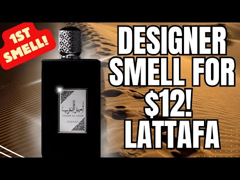 $12 Lattafa Hidden Versatile Gem?! Asdaaf Ameer Al Arab