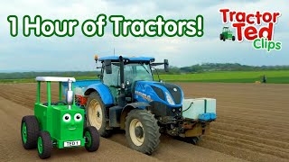 1 Hour of Big Machines For Kids Who LOVE Tractors! 🚜 Tractor Ted Official