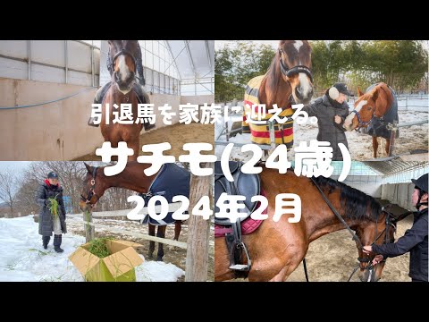 (2)騎乗NGから復活への道。目指すは、完璧なボディー🐴✨#引退馬支援 #サチモ #新しい挑戦