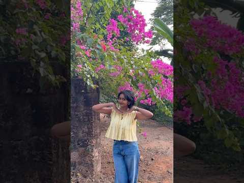 ഒരു bougainvillea reception #dayinmylife #minivlog #food#shorts