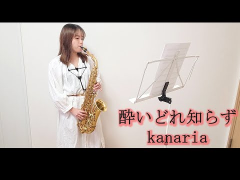 酔いどれ知らず / Kanaria をサックスで演奏してみました。【小さいサックス吹き】【佐藤佳世】