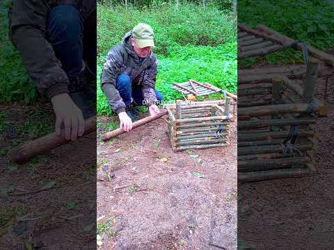 Trap #bushcraft #trap #survival