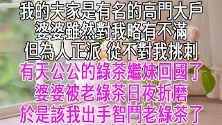 我的夫家是有名的高門大戶。婆婆雖然對我略有不滿，但為人正派從不對我挑刺。有天公公的綠茶繼妹回國了，婆婆被老綠茶日夜折磨。於是該我出手智鬥老綠茶了！【感悟人生】