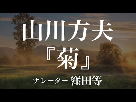 『菊』作：山川方夫　朗読：窪田等　作業用BGMや睡眠導入 おやすみ前 教養にも 本好き 青空文庫