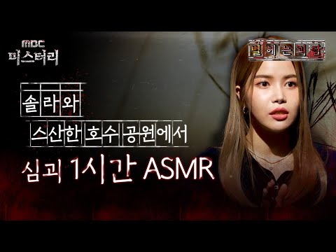 [별 헤는 괴담] 솔라와 스산한 호수 공원에서 심괴 1시간 ASMR #심야괴담회 #심괴 #어둑시니 #midnight #horrorstory MBC230112방송