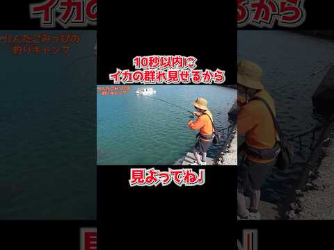 今からイカ釣るけん見よってね🦑#fishing #釣り #エギング