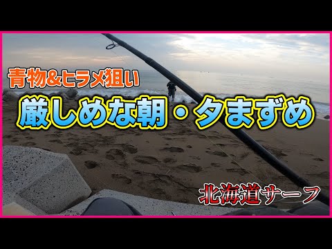 【北海道サーフ2023】木古内知内方面：青物&ヒラメを求めて、朝・夕釣行の回w