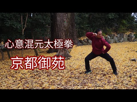 心意混元太極拳 • 蔡惠琦老師（於京都御苑）Hunyuan Tai Chi Chuan Performed by Master Tsai Hui-Chi at Kyoto Gyoen Garden