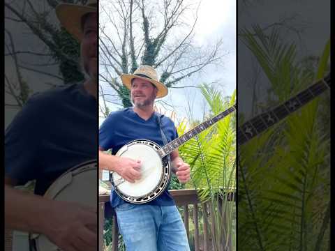 Groundhog for Bluegrass Banjo 🪕 #shorts #music