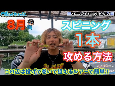 スピニング１本でOK‼︎「夏のバス釣りを楽しめる攻め方とルアーローテーション」2024【バスプロ解説】