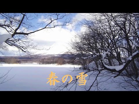 春の雪　石川さゆり