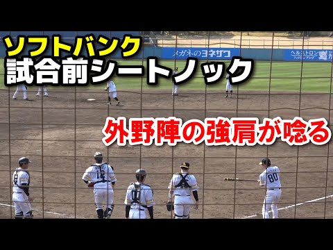 試合前シートノック！ソフトバンクの 守備力は健在！外野陣の強肩が唸る　ソフトバンク vs 西武　みやざきベースボールゲームズ　練習試合　ソフトバンクホークス　西武ライオンズ