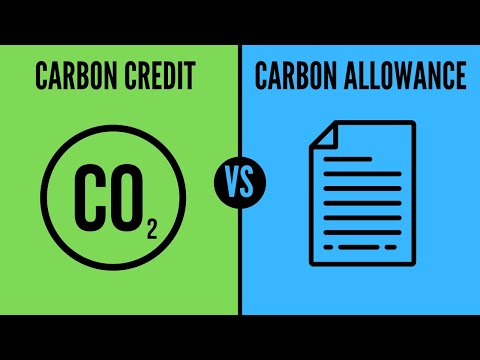 What Is A Carbon Allowance?