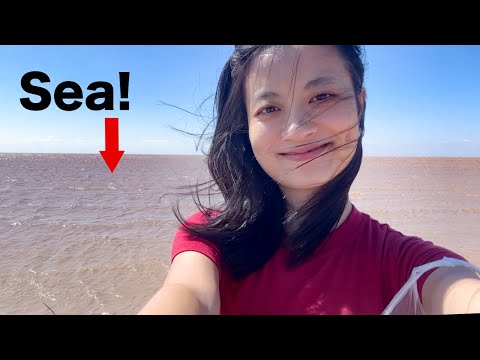 🇨🇳 Unexpected discovery: the crossover of Yellow River and Sea!