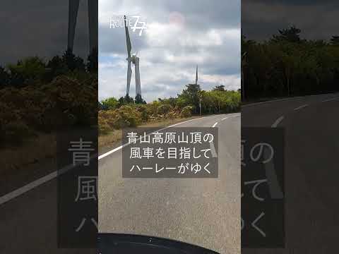 【ハーレー】三重県の青山高原を目指して #shorts #vlog #バイク #スポーツスターS #ハーレーダビッドソン #harleydavidson