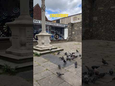 #Pigeons and #Yeomanry Memorial #Canterbury #walkingtour #travelvlog #walkwithme #travelling