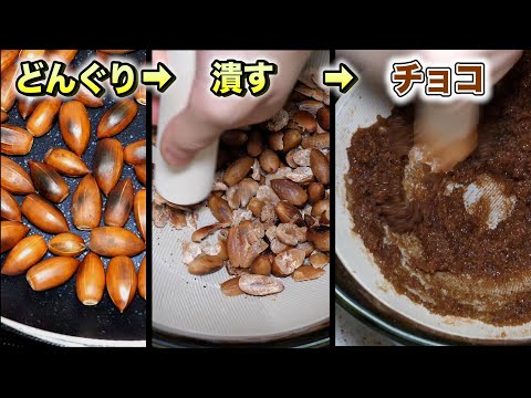 Let's make CHOCOLATE from ACORNS! 【ENG SUB】