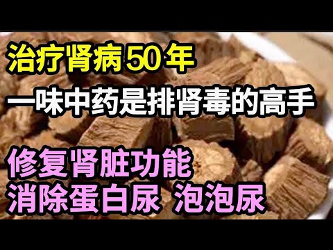 治疗肾病50年，医生说：肾衰竭其实可以逆转，它是排肾毒的高手，消除蛋白尿、泡泡尿，修复肾脏受损功能，每个老年人都应该知道【本草养生大智慧】