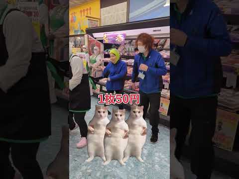 猫ミームだよ全員集合！