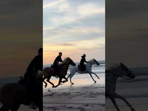 Evening #horseriding or #horseracing so Satisfying #shortvideos