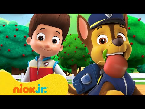 PAW Patrol Loves Yummy Apples! 🍏 10 Minutes | Nick Jr.